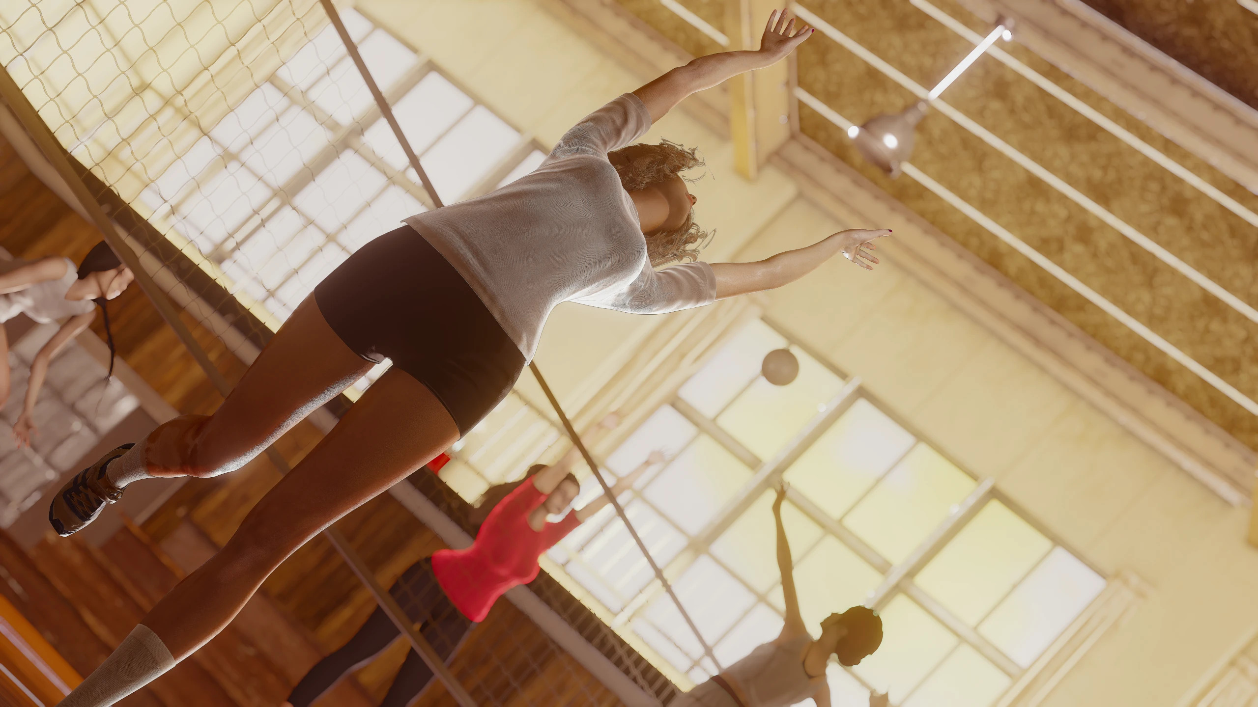 野猫训练环节截图4